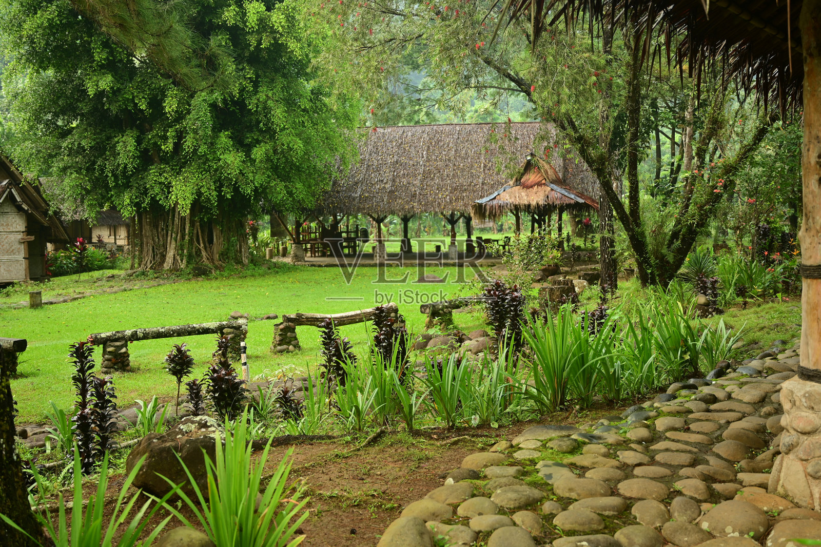 村庄的景色照片摄影图片