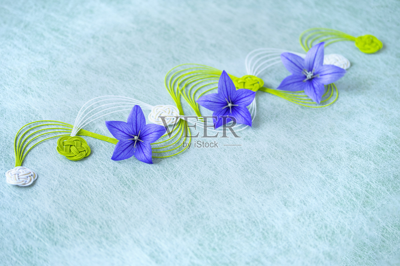 蓝色桔梗的日本图像照片摄影图片