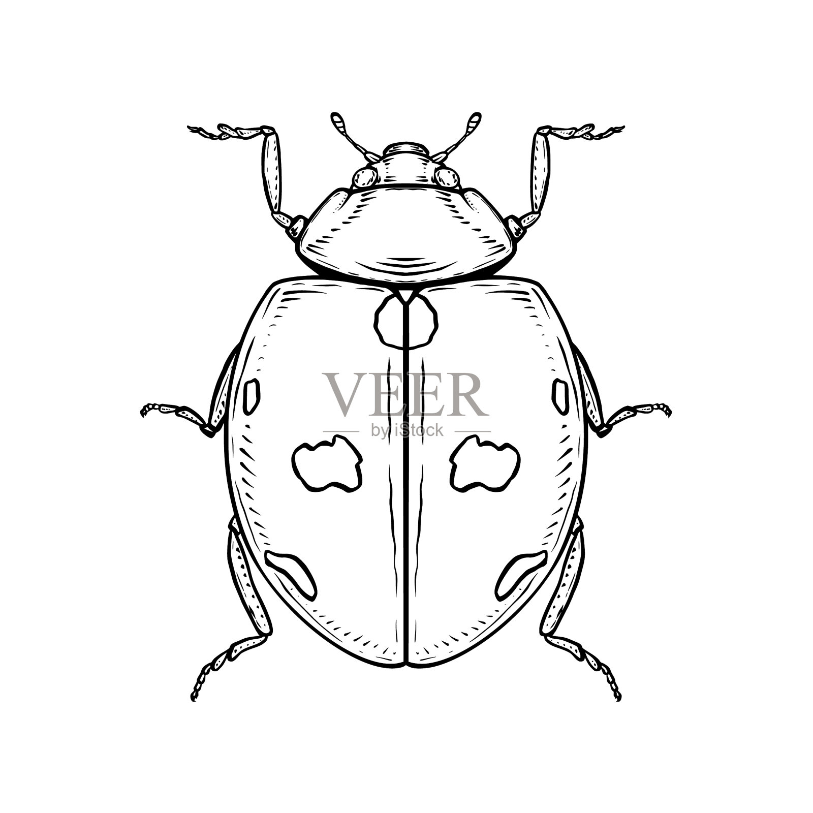 瓢虫在图形风格设计元素图片