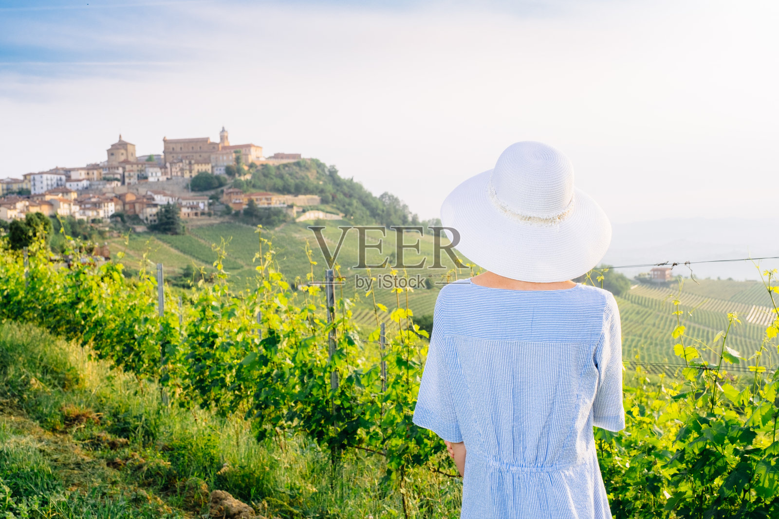 意大利的葡萄园疗法照片摄影图片