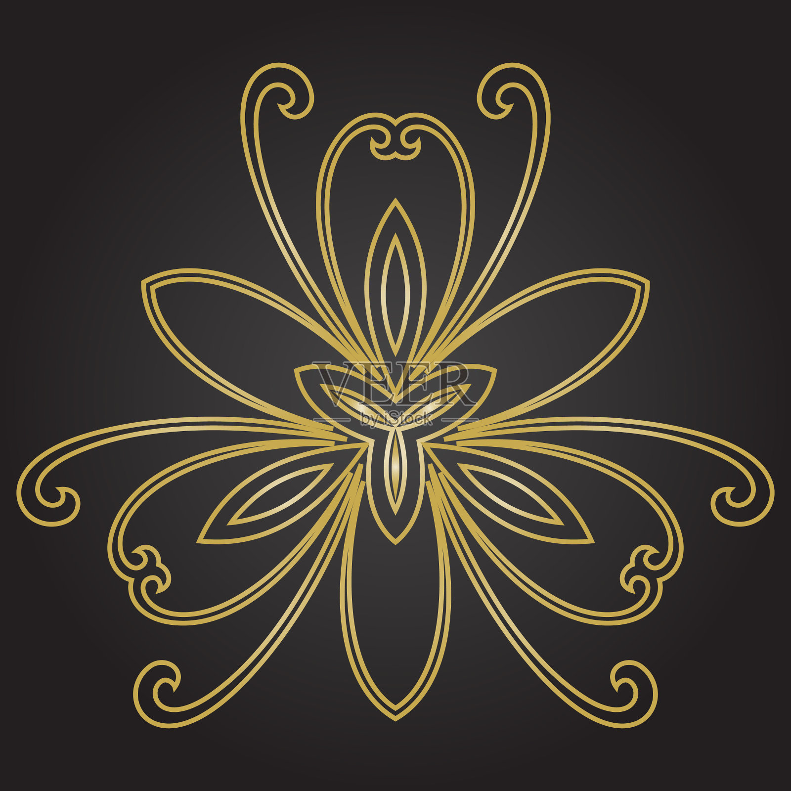 花的精细图案，叶少插画图片素材