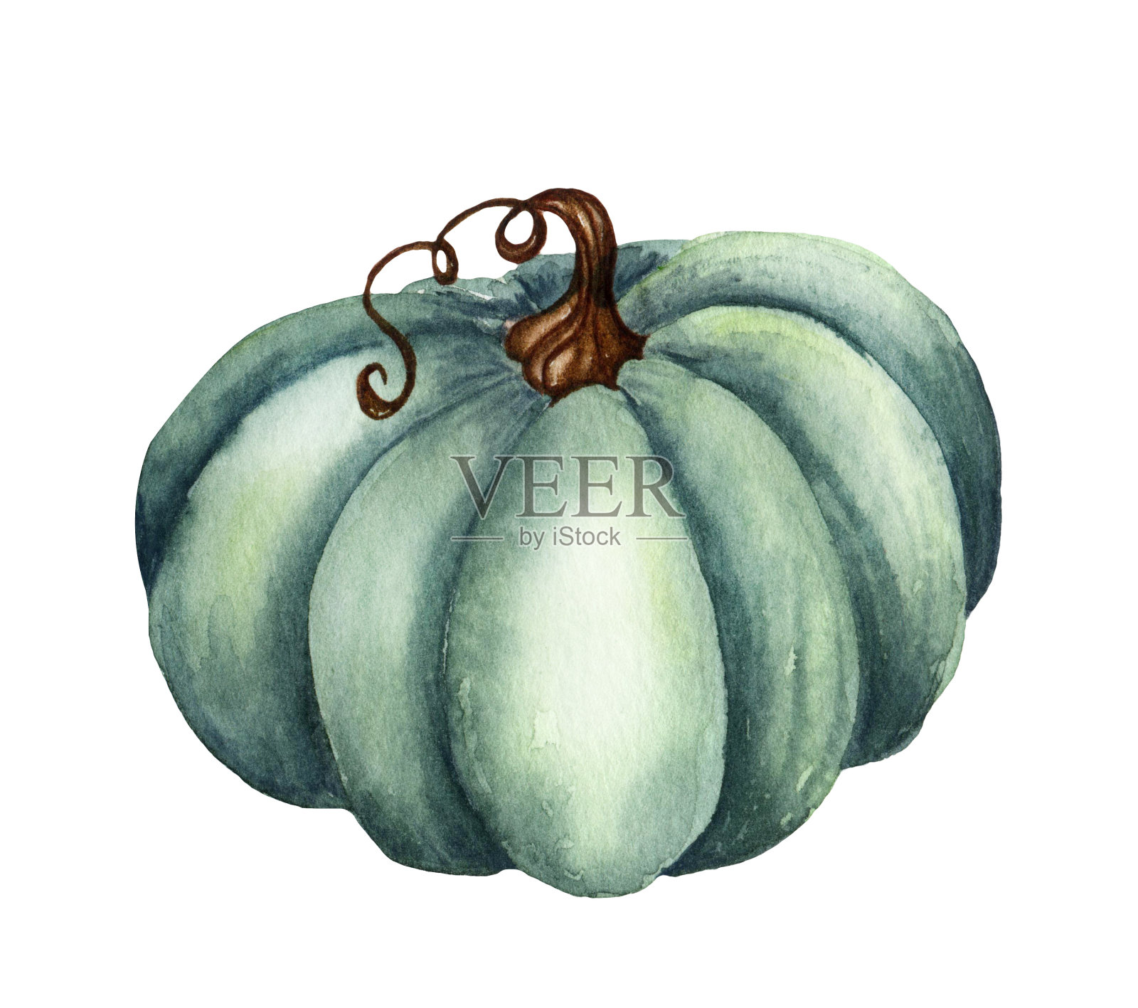 水彩花卉南瓜。锈迹和烧焦，落叶和落叶。秋天邀请模板。插画图片素材