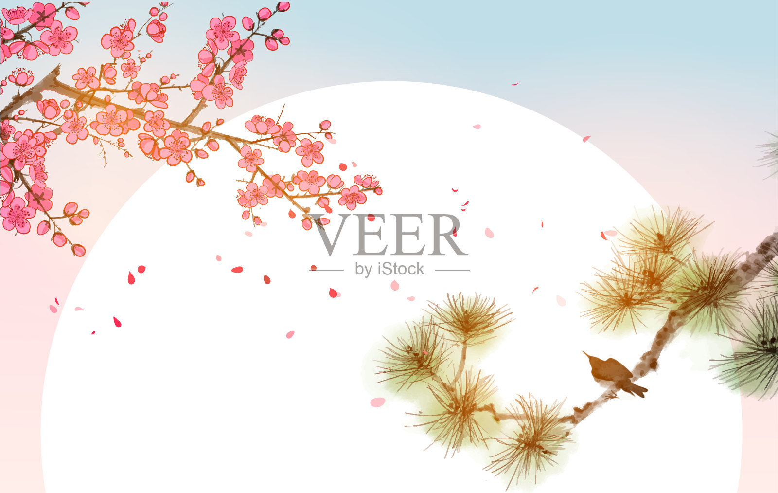 小鸟，松枝和樱花在日出背景。传统的东方水墨画，眉娥，宇仙，郭华。插画图片素材