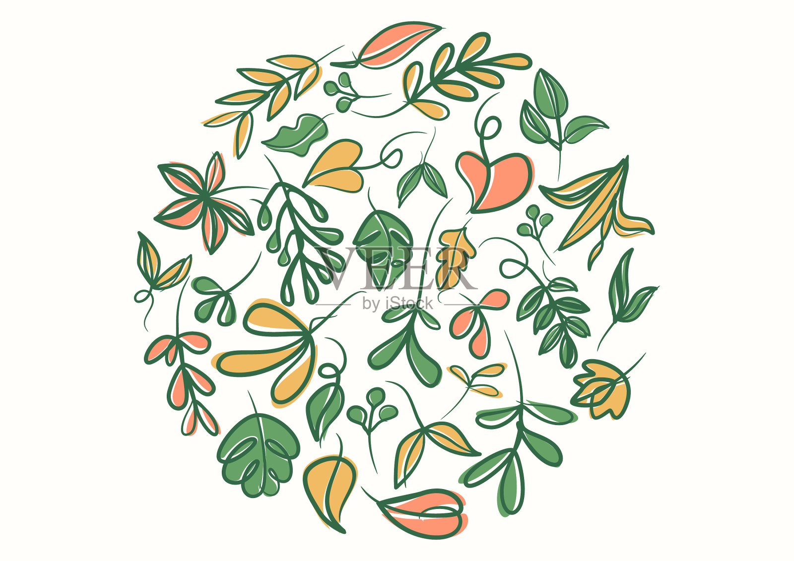 植物学上绿色的花叶背景插画图片素材