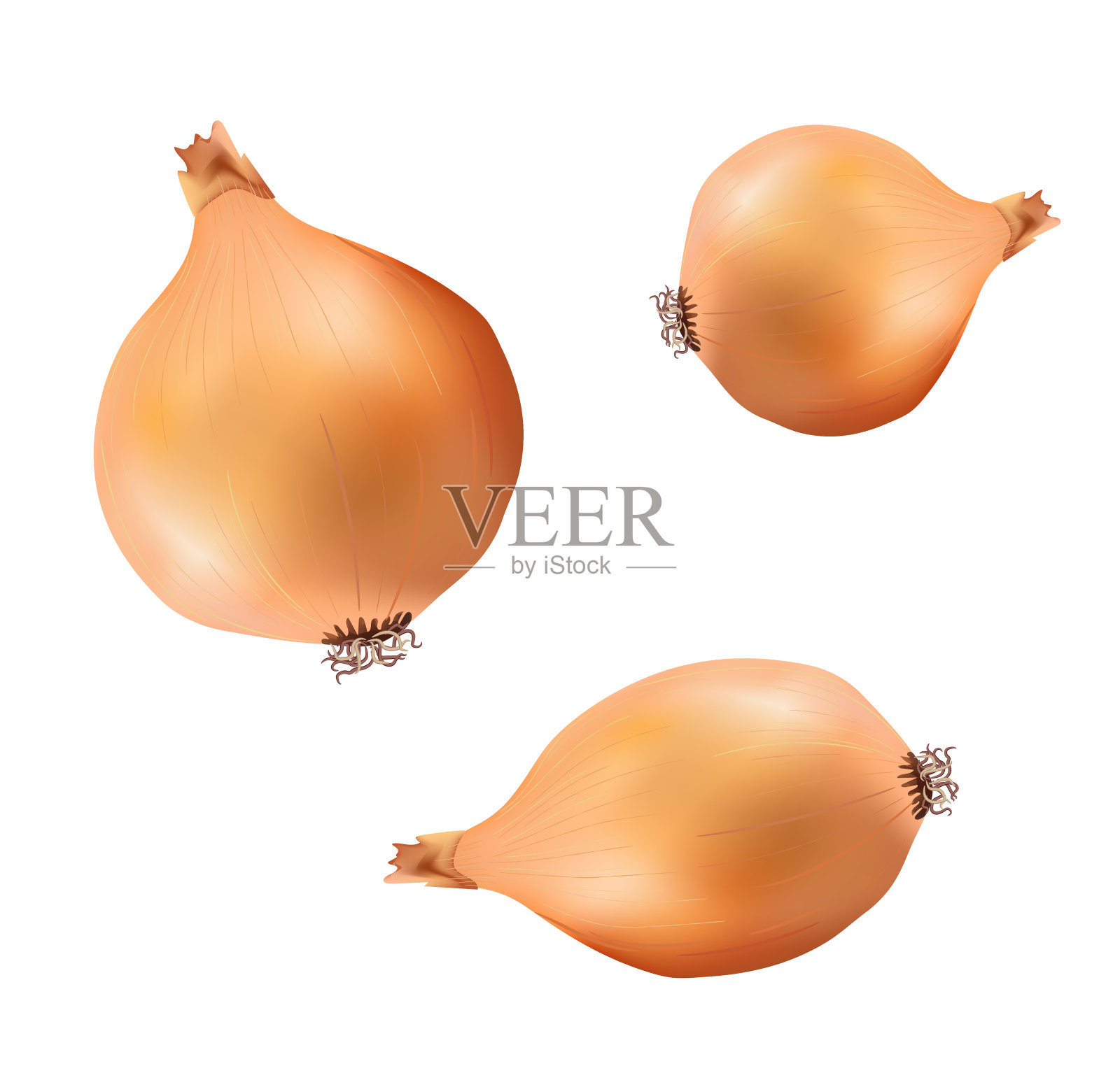 现实的蔬菜隔离在透明的背景。插画图片素材