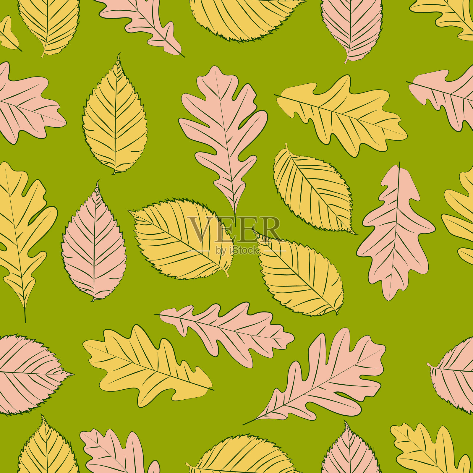 树叶无缝图案橡树和榆树的叶子插画图片素材