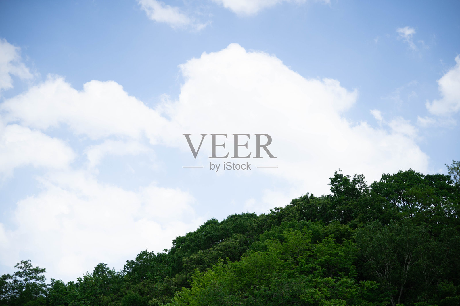 森林上空的蓝天和白云照片摄影图片