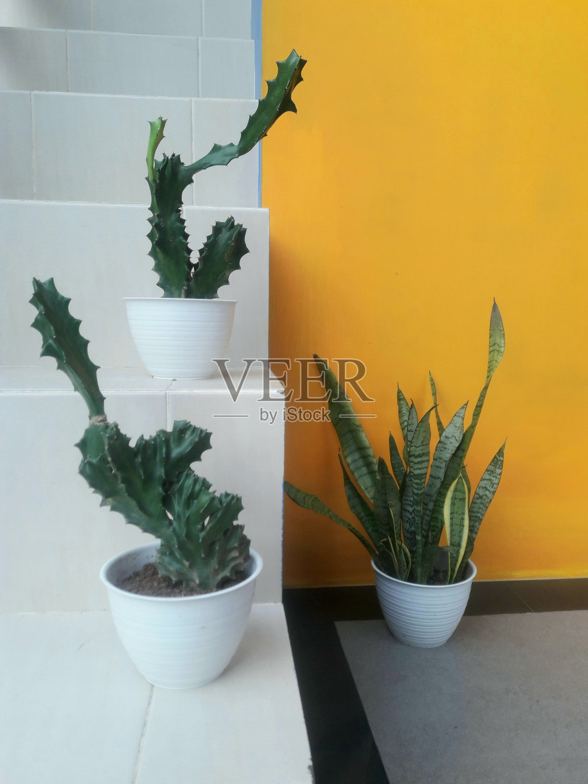 白色楼梯通向一座建筑照片摄影图片