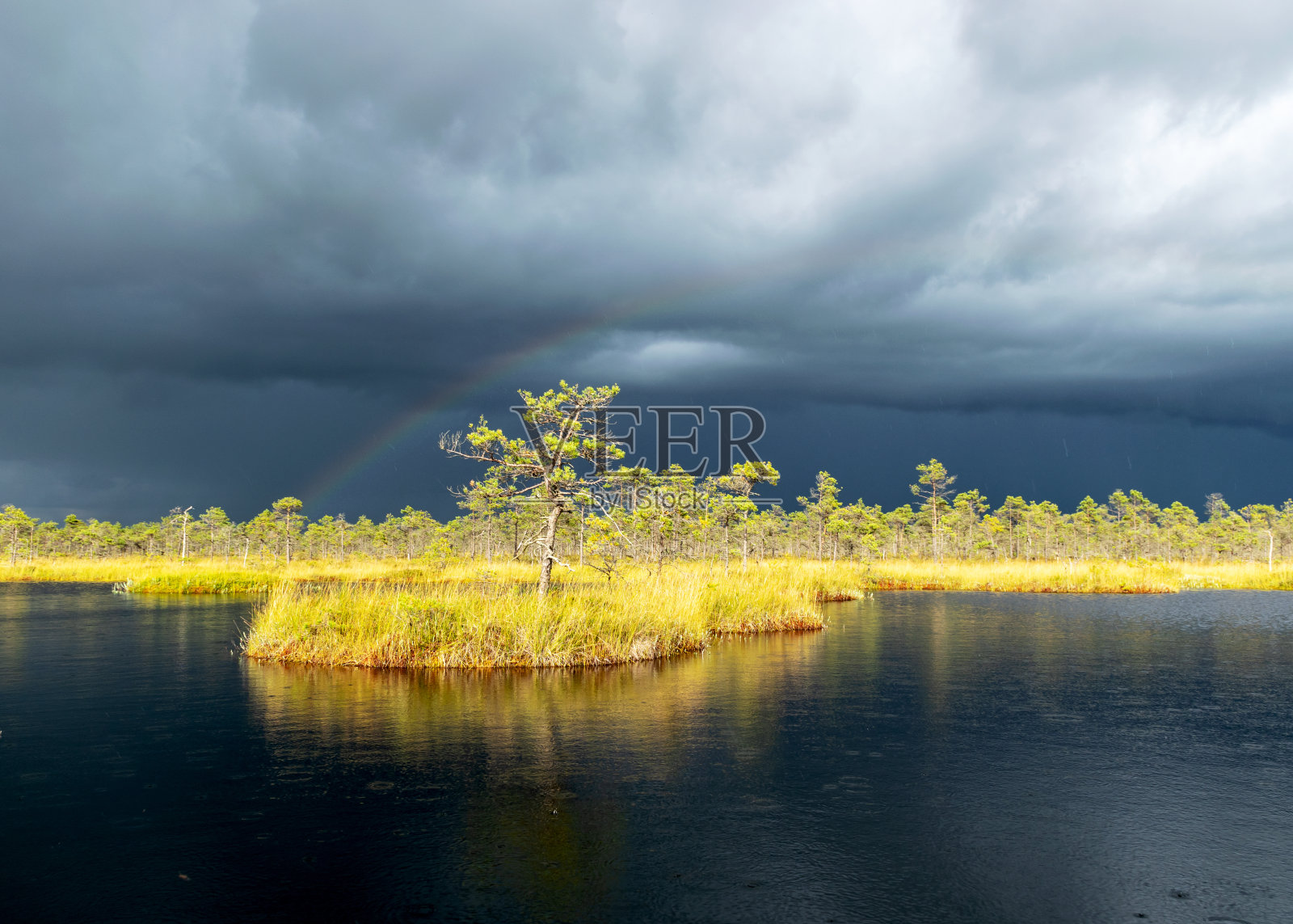 地平线上戏剧性的云，风暴前美丽的沼泽景观，秋天传统的沼泽植被，阳光照耀的沼泽景观，帕尔苏沼泽，朱穆尔达教区，埃尔鲁区，拉脱维亚照片摄影图片
