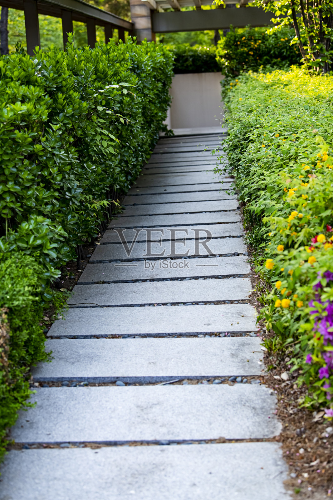 公园景观照片摄影图片