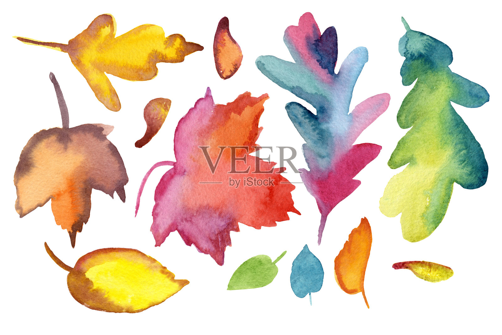 大明亮的一套水彩树叶插画图片素材