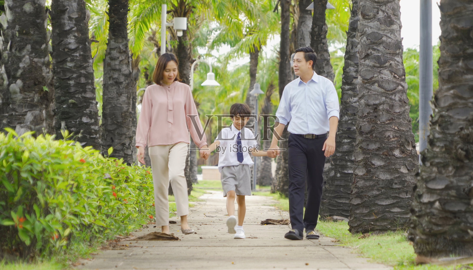 幸福微笑的亚洲家庭肖像一起散步在公共花园公园在家庭关系度假。父亲、母亲和儿子的爱。人们的生活方式。照片摄影图片
