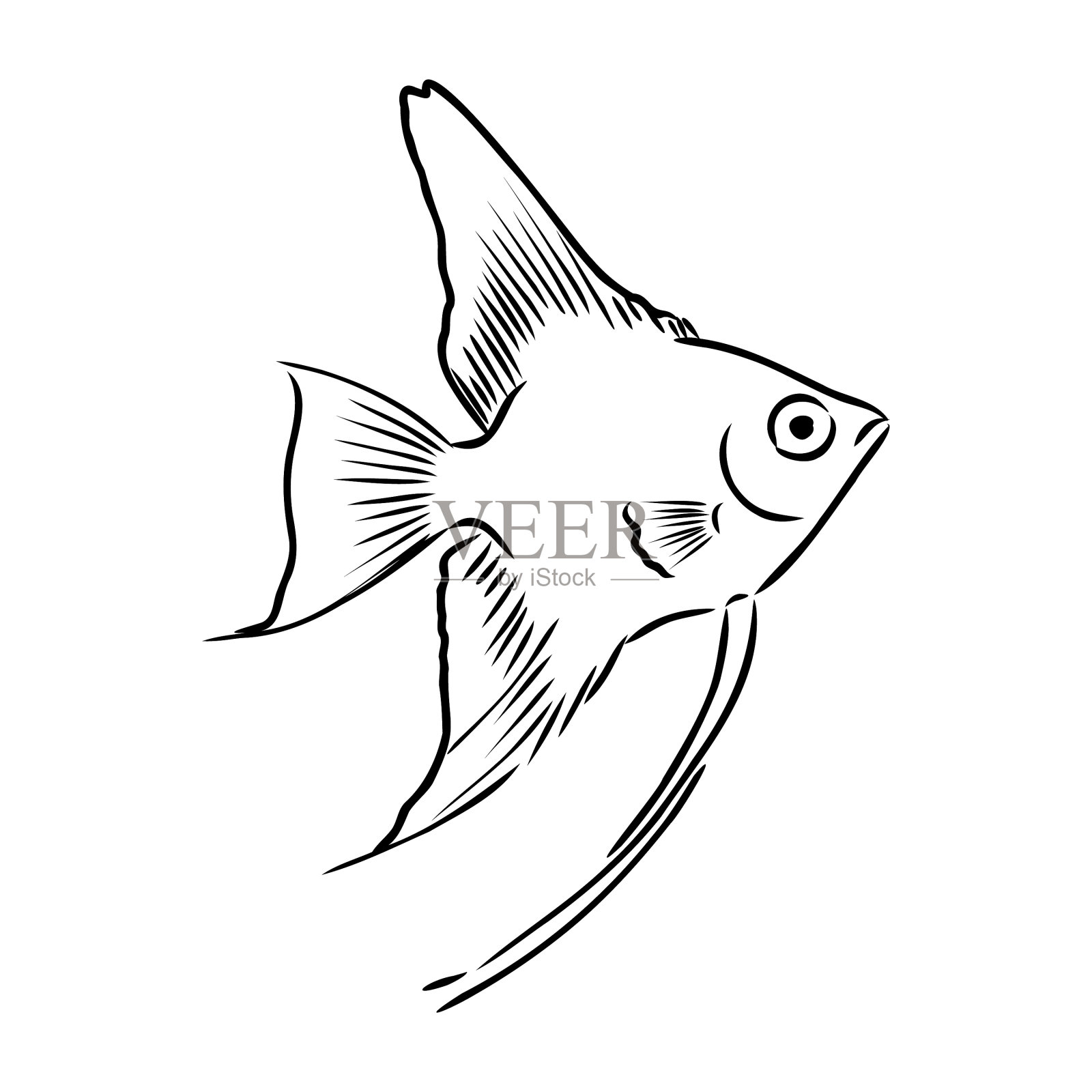 金鱼手绘孤立在白色上插画图片素材