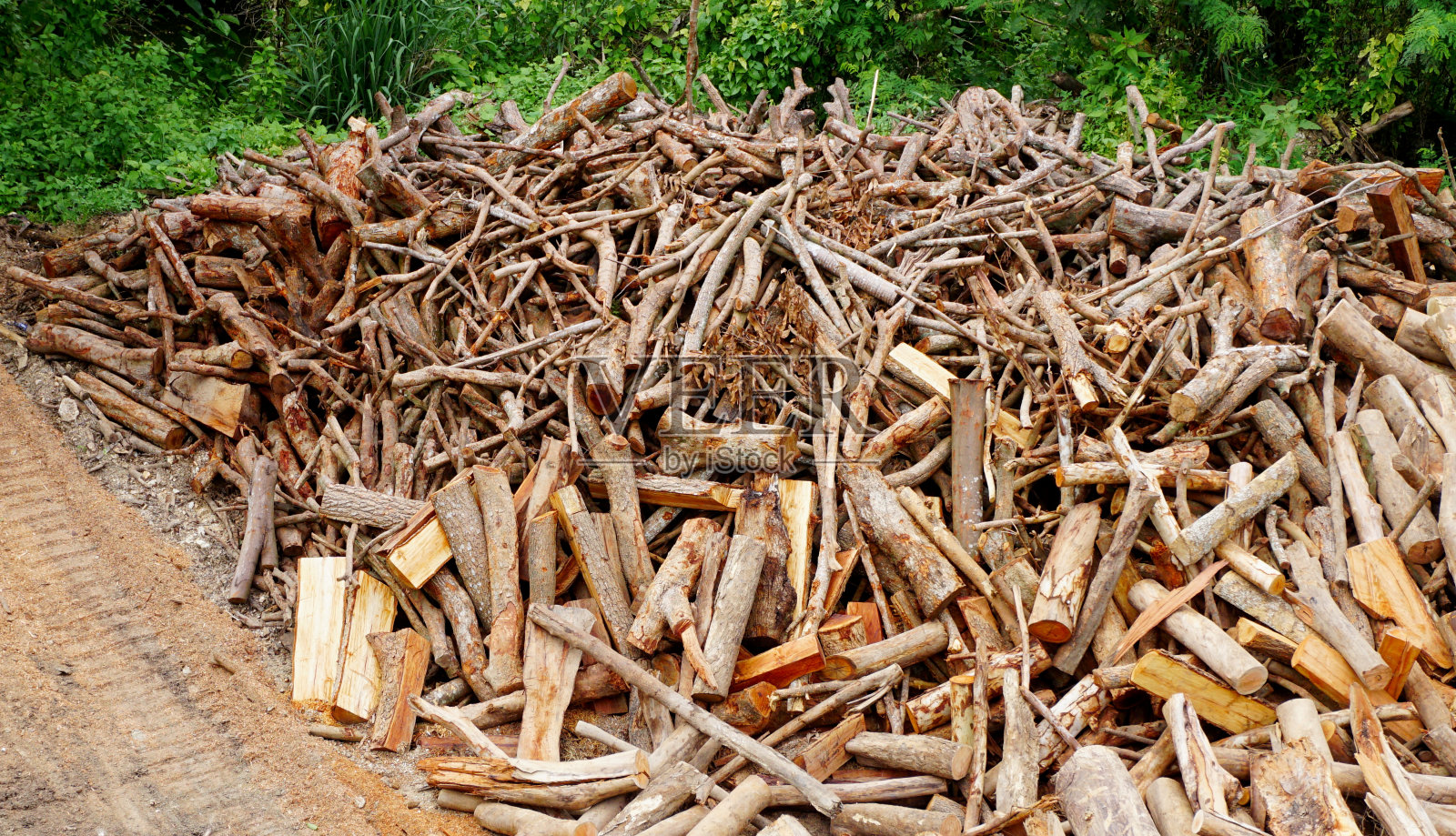 在地面上切割的一组木材照片摄影图片