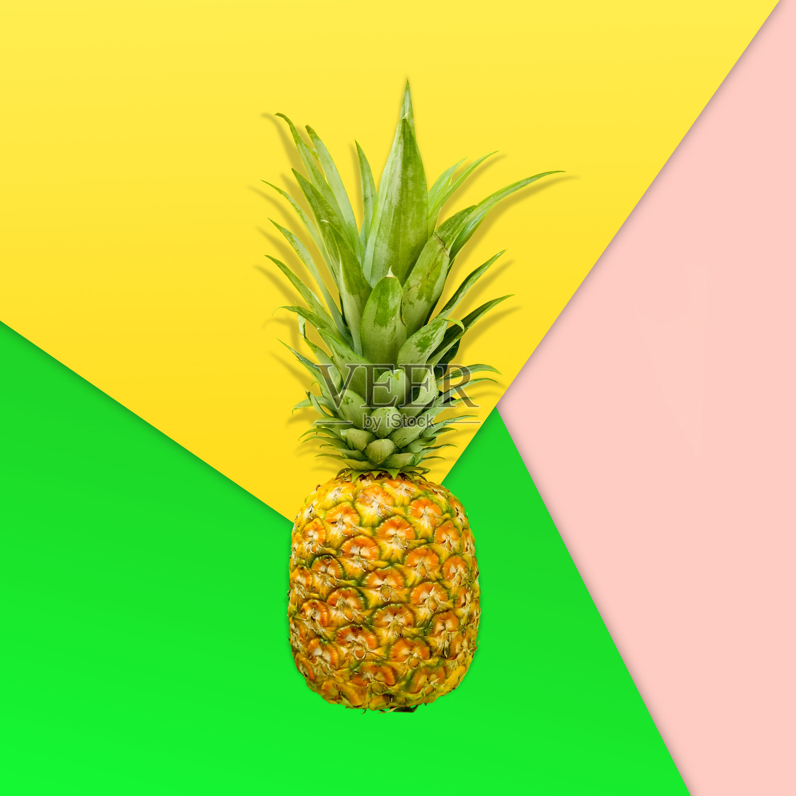 创意的菠萝热带布局照片摄影图片