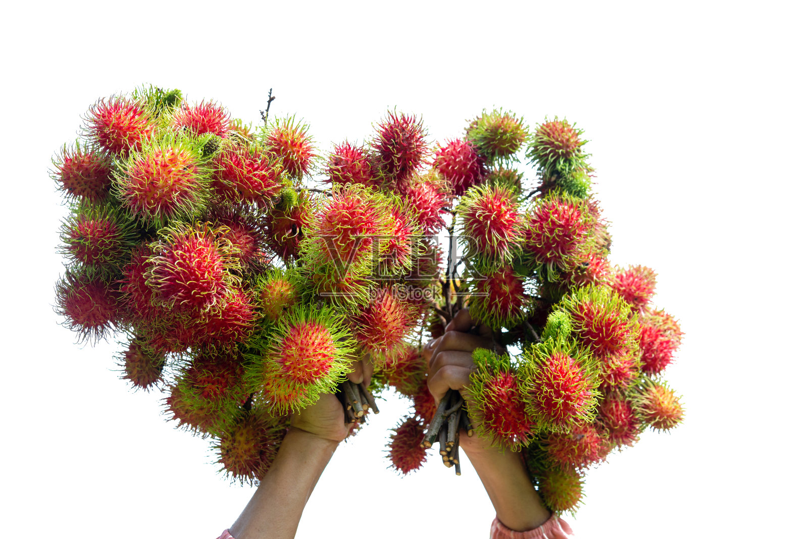 在白色背景上装饰一束花束。照片摄影图片