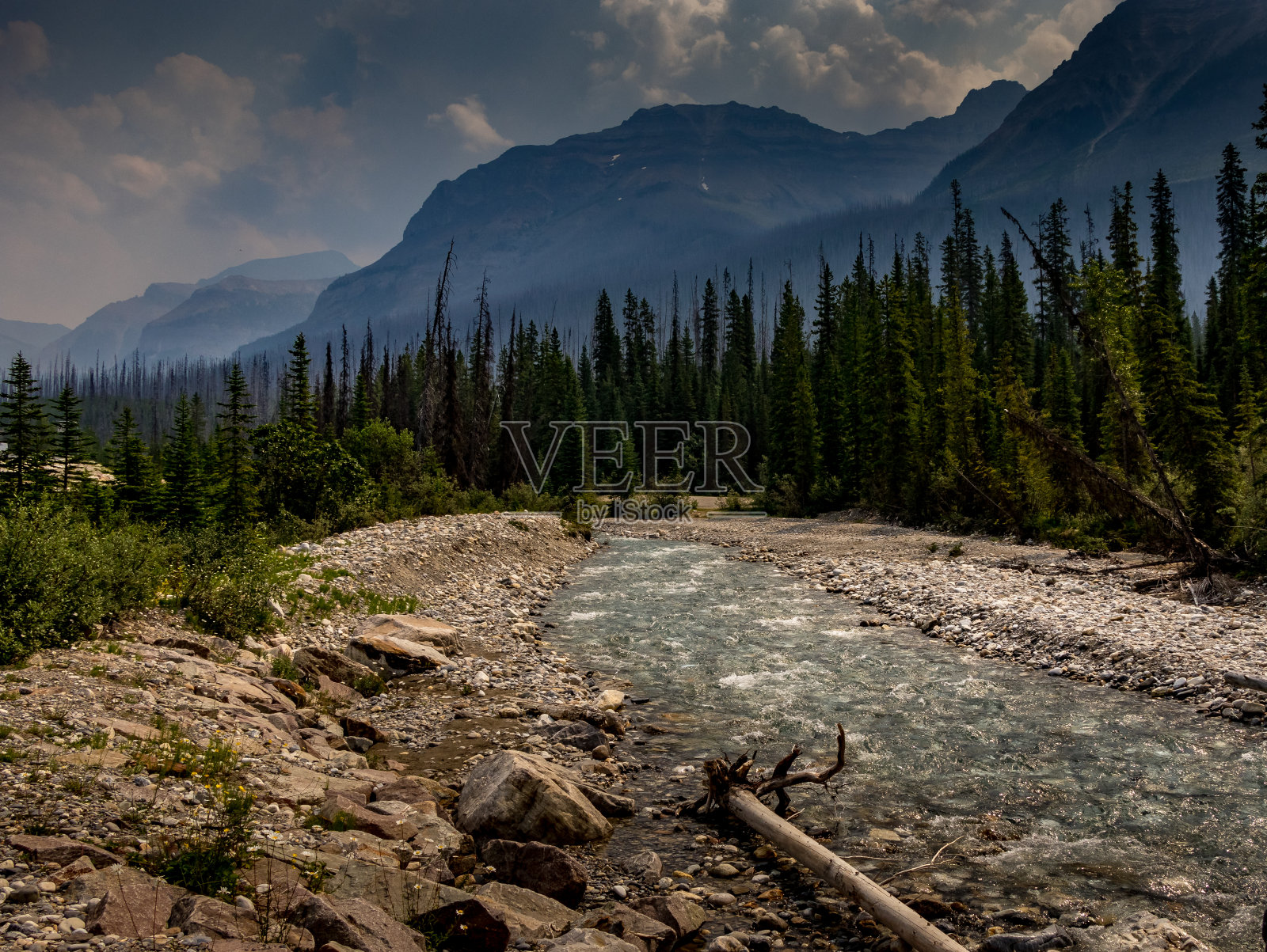 托库姆河在加拿大不列颠哥伦比亚省库特奈国家公园内流淌照片摄影图片