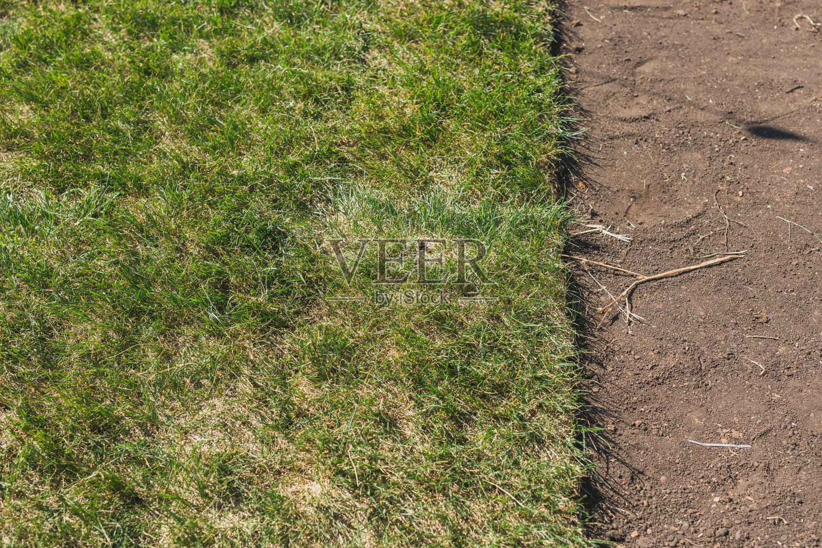 新花园草坪铺设草皮-草皮铺设概念照片摄影图片
