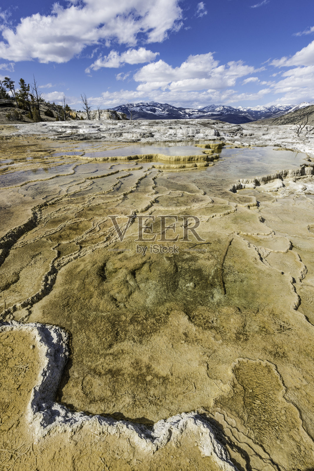 猛犸温泉的主露台就在怀俄明州黄石国家公园金丝雀温泉之上。照片摄影图片