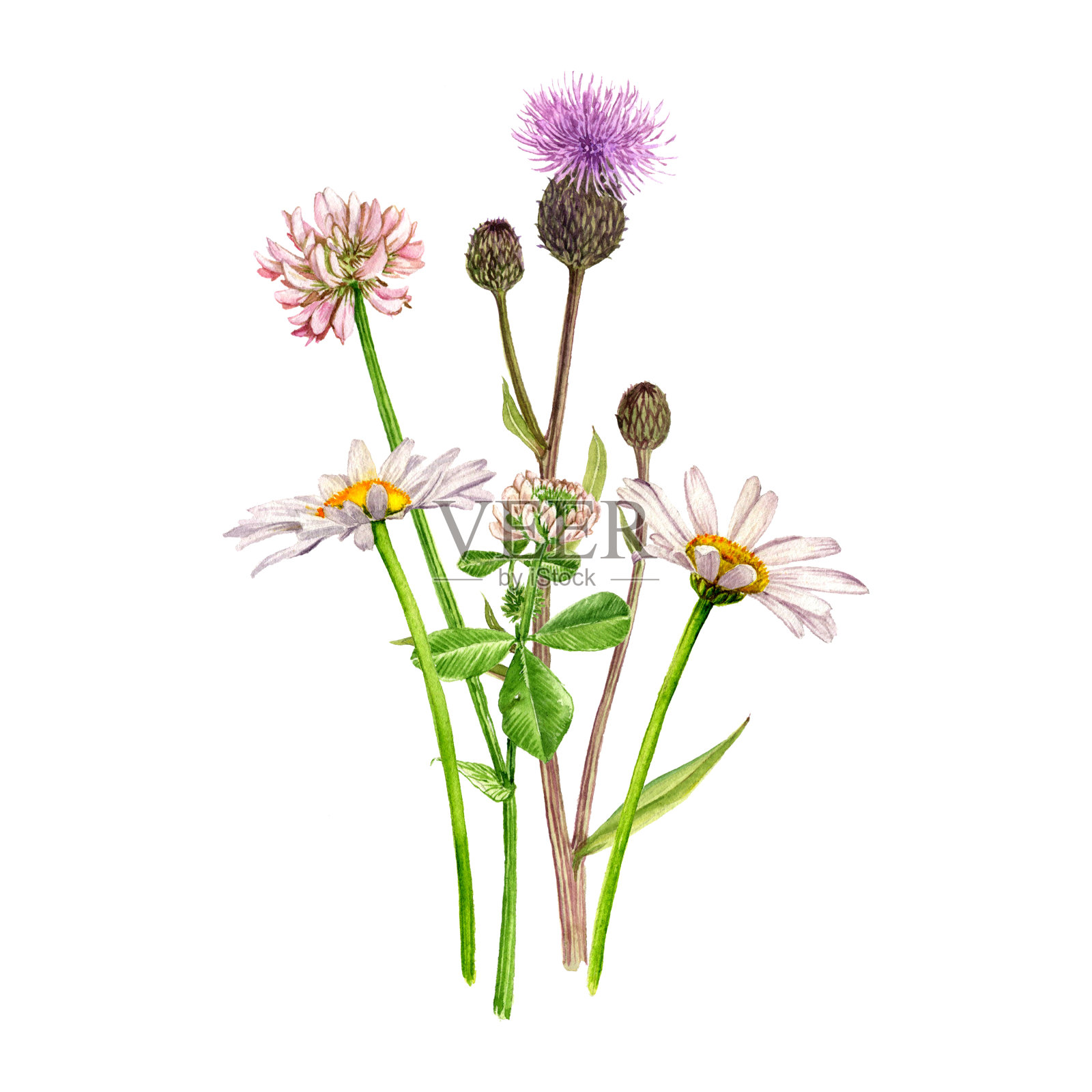 水彩画花束插画图片素材