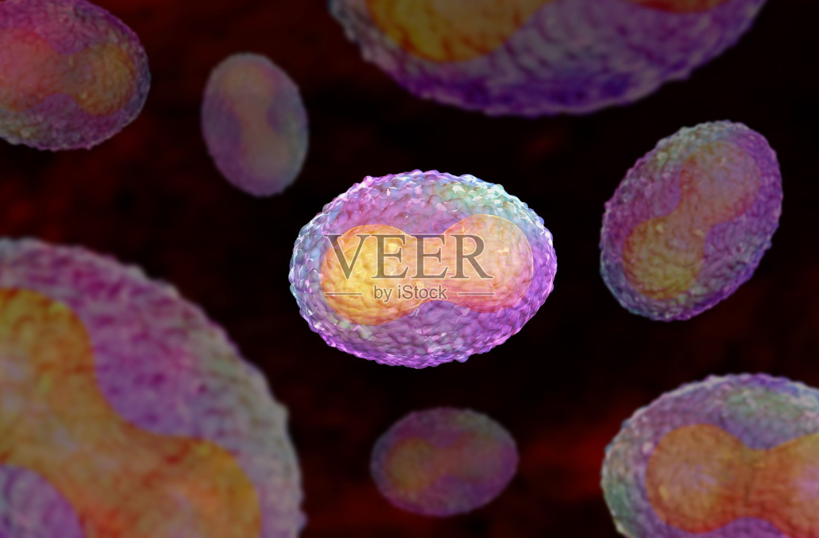 人类猴痘病毒。照片摄影图片