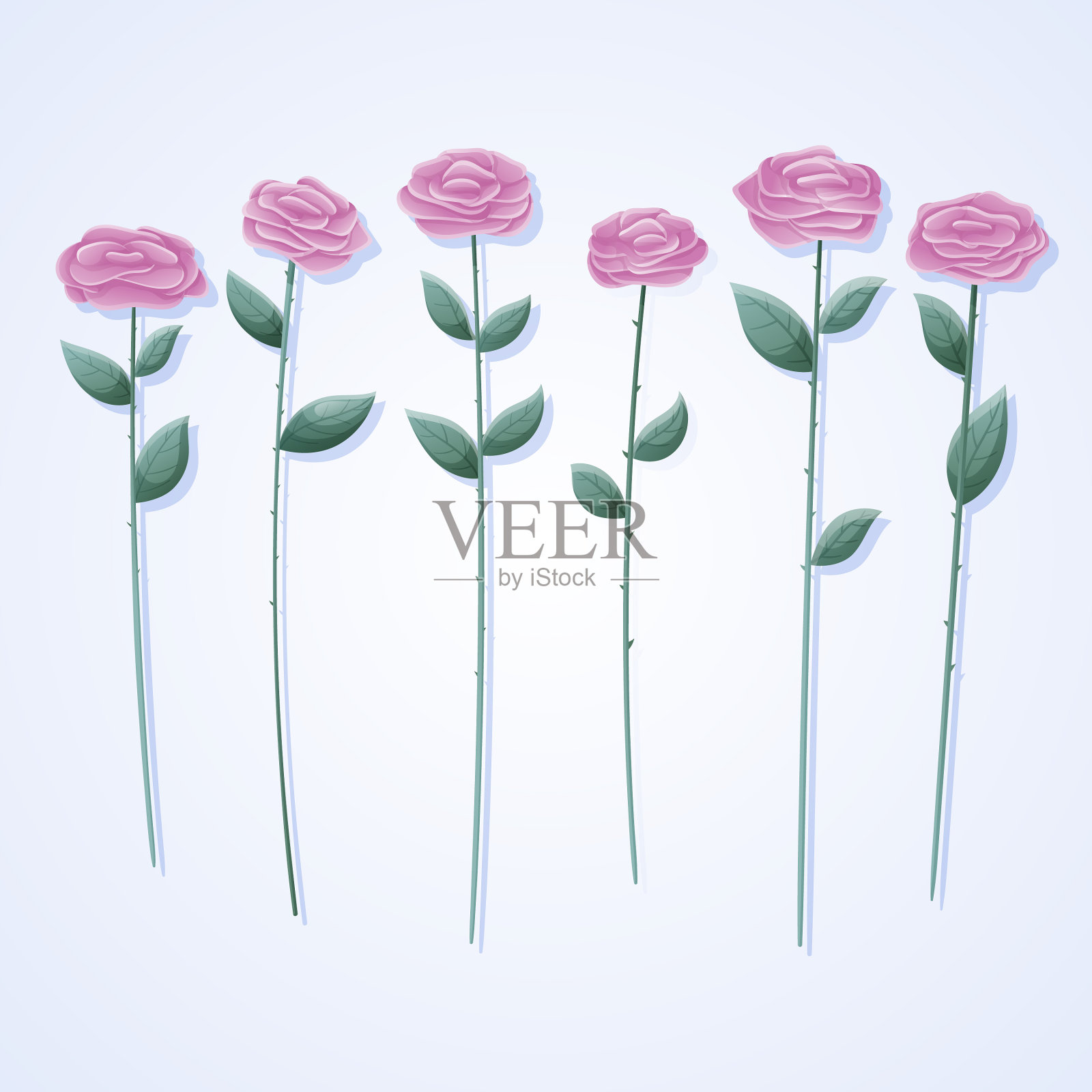 一套孤立的粉红色玫瑰花插画图片素材