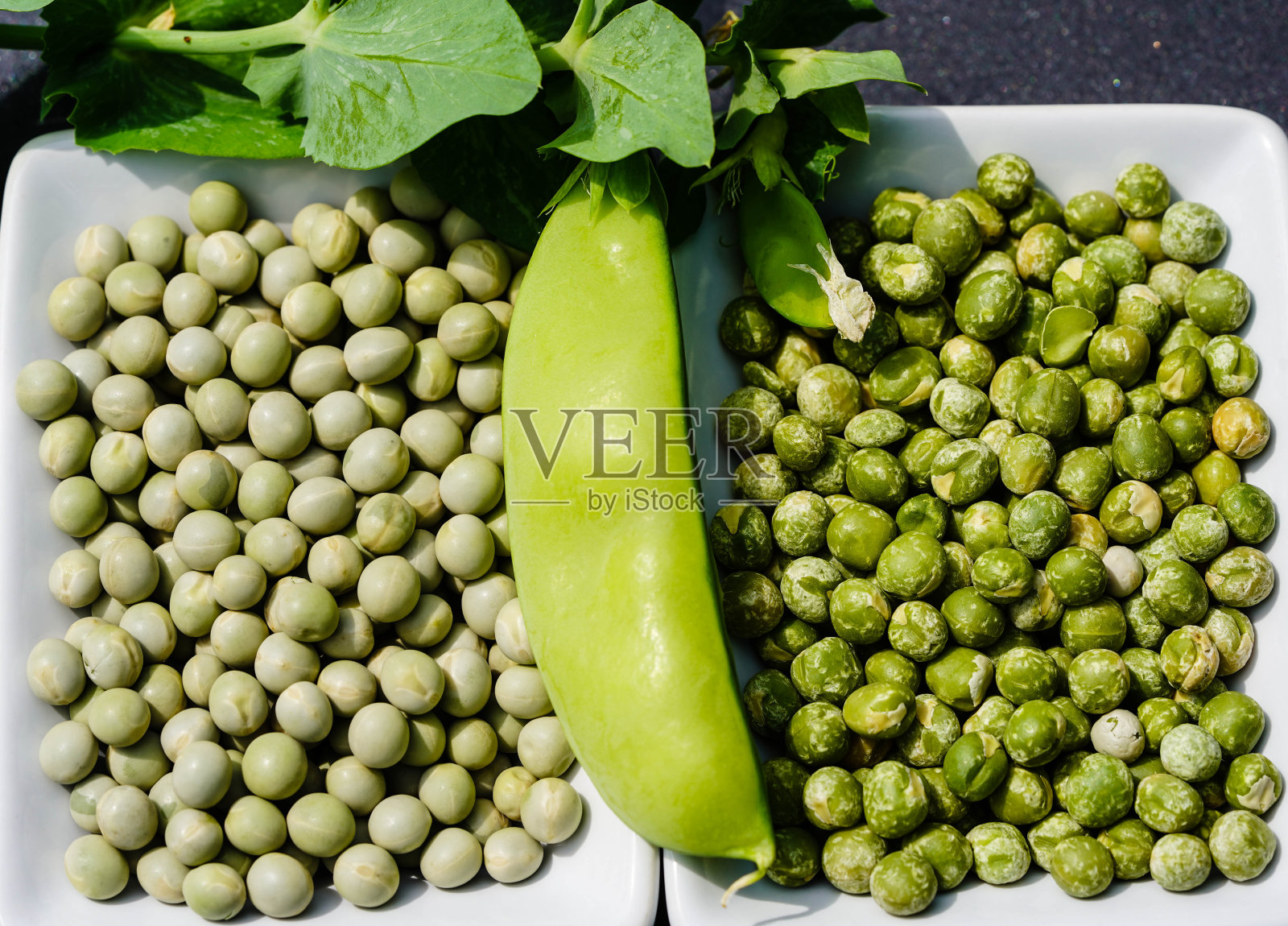 埃尔布森照片摄影图片