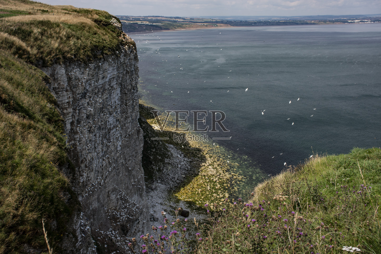 尖照片摄影图片
