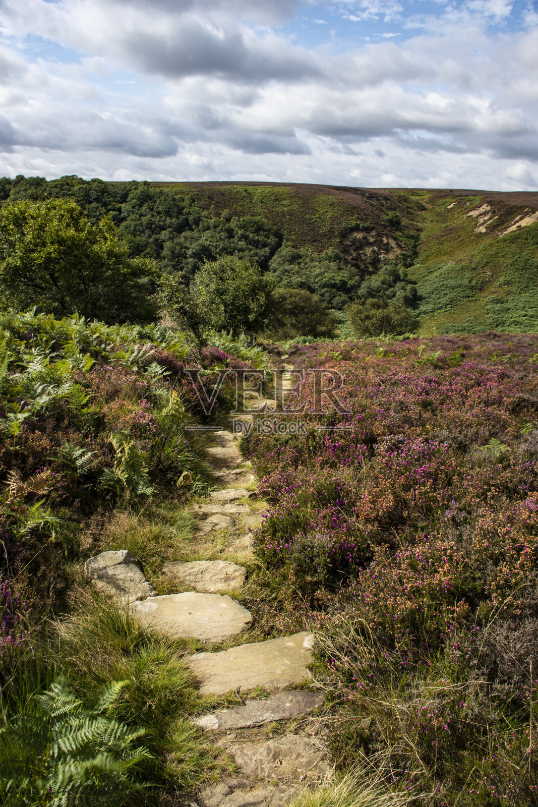 通往山谷的小路。照片摄影图片