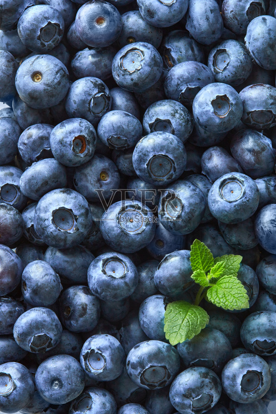 蓝莓图案全帧从上面看。俯视图照片摄影图片