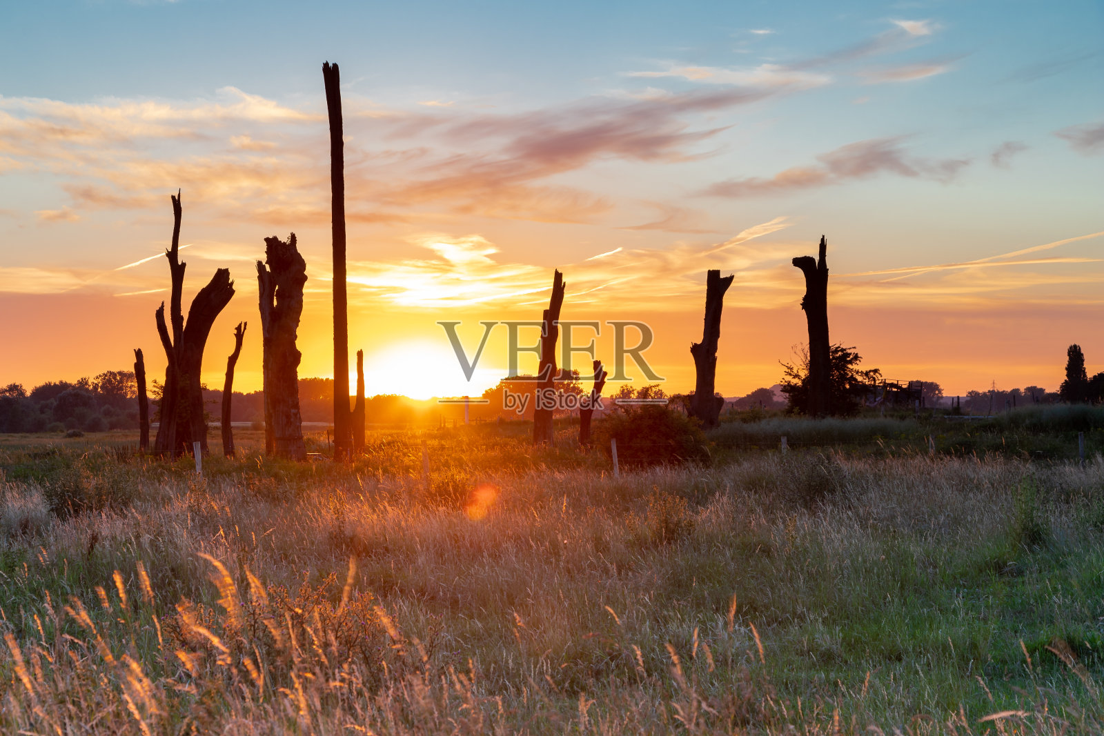 荷兰林堡Meers村附近的Woodhenge历史悠久的一面，壮观的日落照片摄影图片