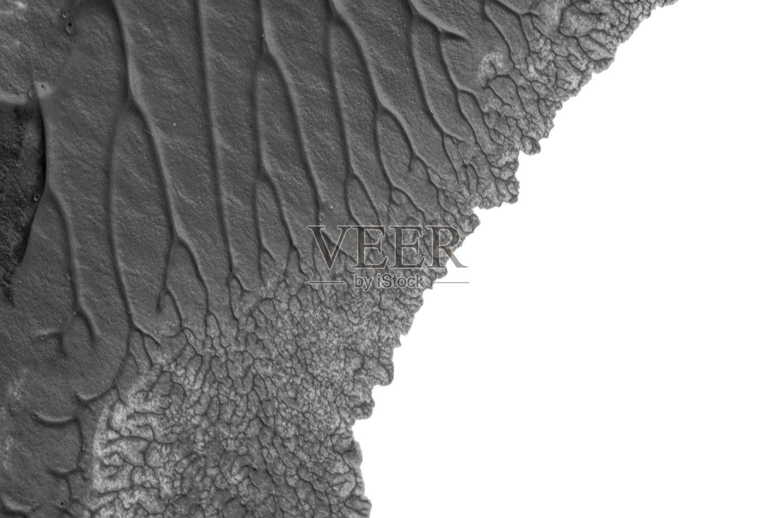 利用罗夏墨迹法在白纸背景上绘制黑白抽象丙烯画的色彩纹理照片摄影图片