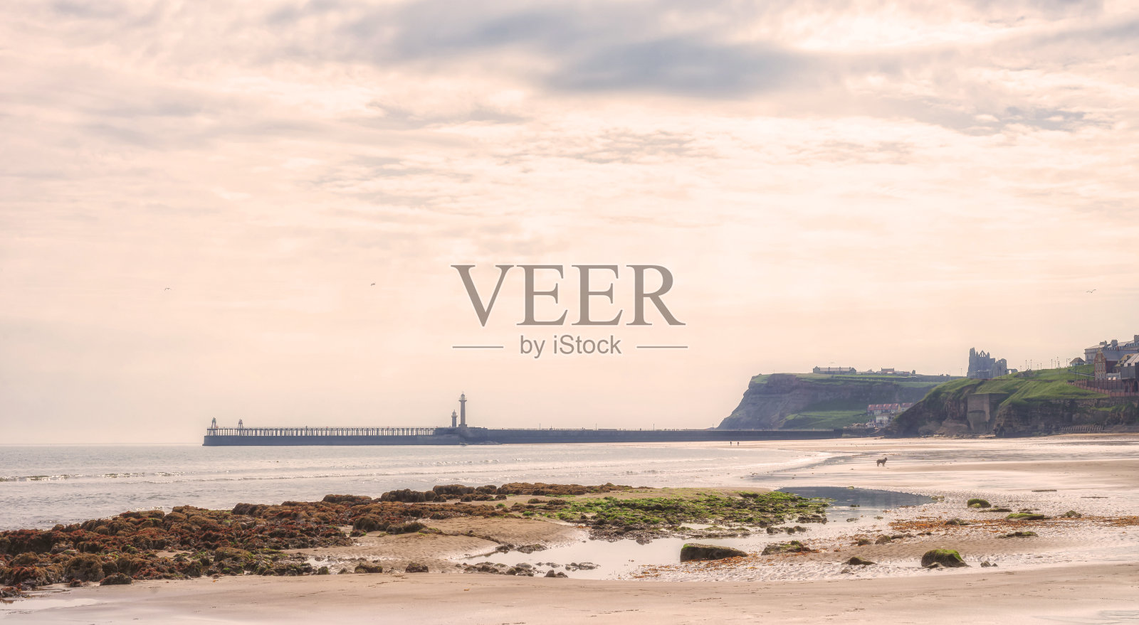 海边的场景。照片摄影图片