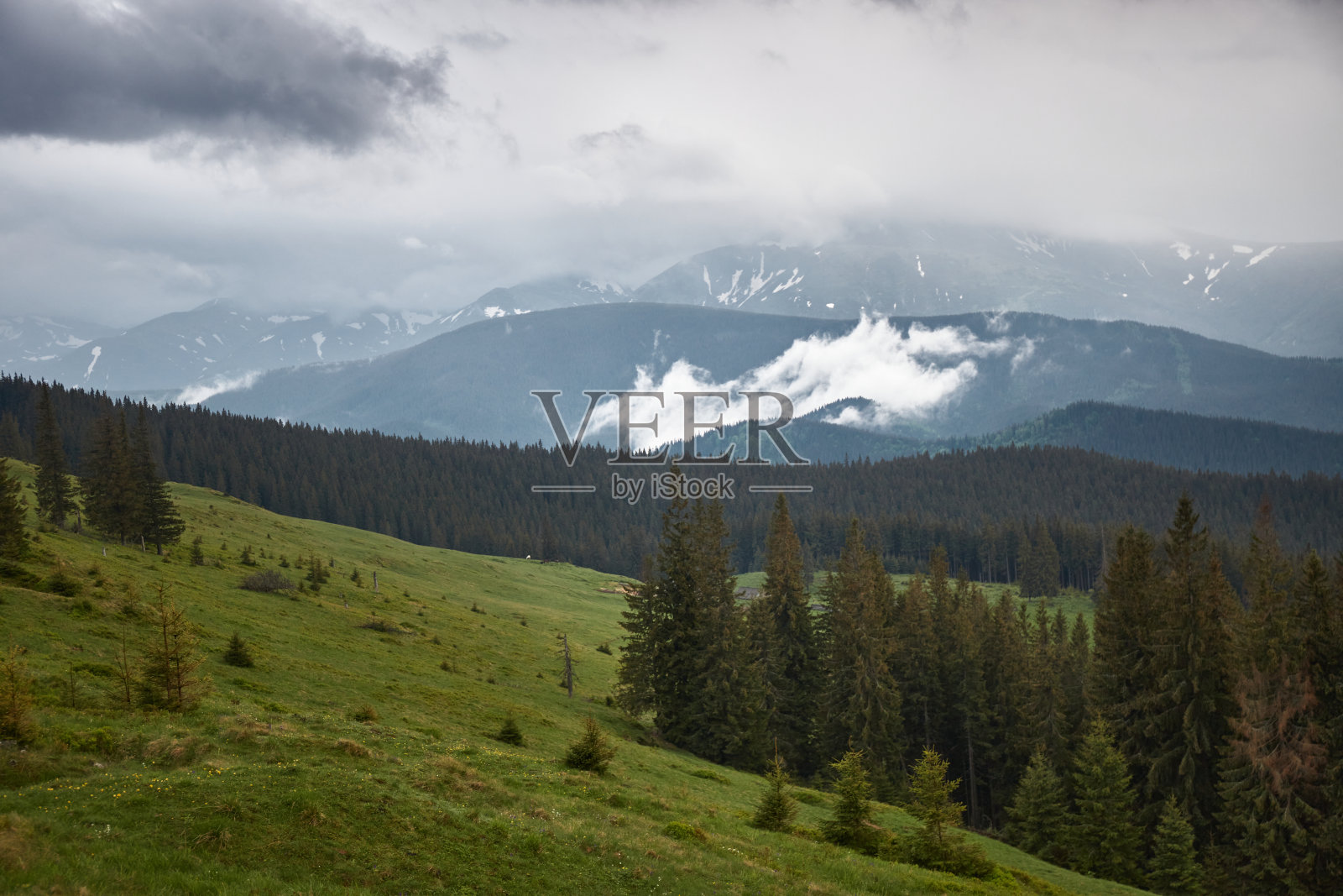 山山谷而下雨天。雾蒙蒙的山地丘陵。喀尔巴阡山的夏天。乌克兰照片摄影图片
