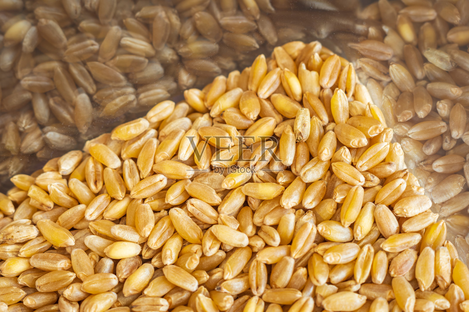 麦粒内方形收纳容器特写照片摄影图片