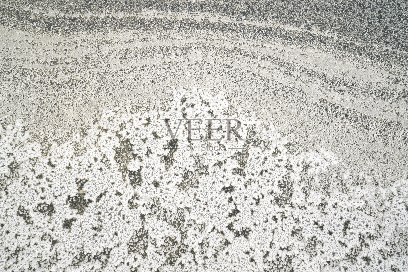 盐田里的盐结晶。照片摄影图片