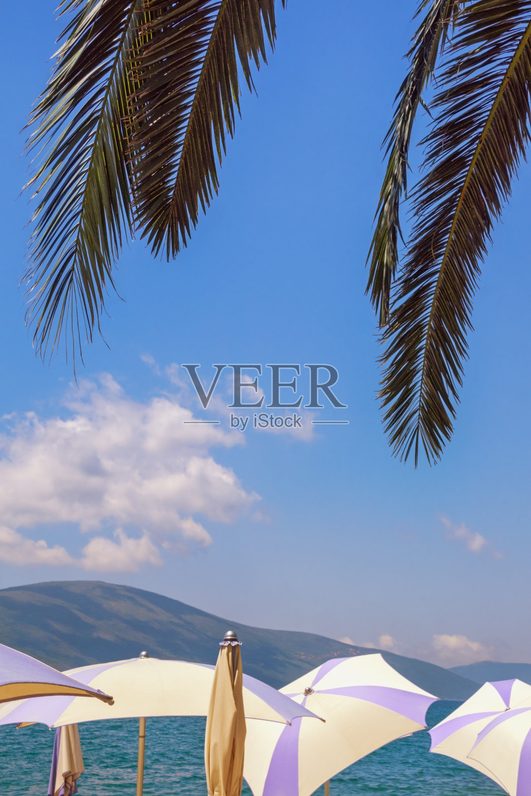 夏天,海滩度假。阳光明媚的地中海美景。科托尔湾海岸的沙滩伞，棕榈树的叶子。黑山,Tivat照片摄影图片