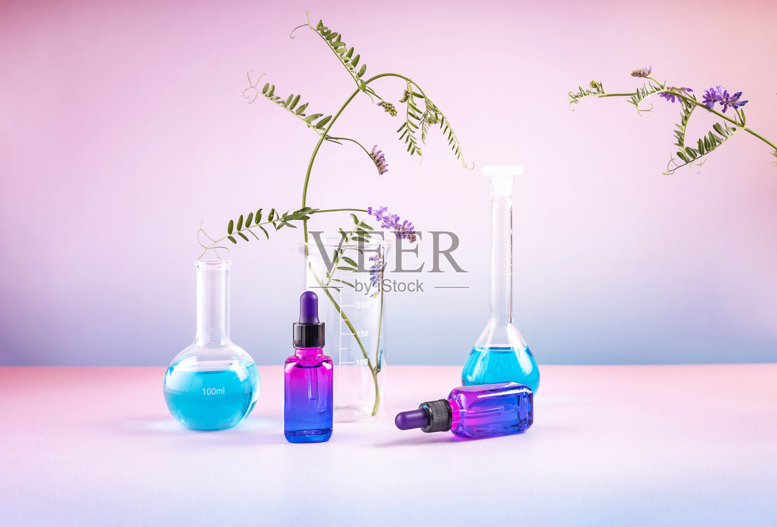 化妆品容器，实验室烧杯和小枝鼠豌豆在梯度背景。天然化妆品的概念照片摄影图片