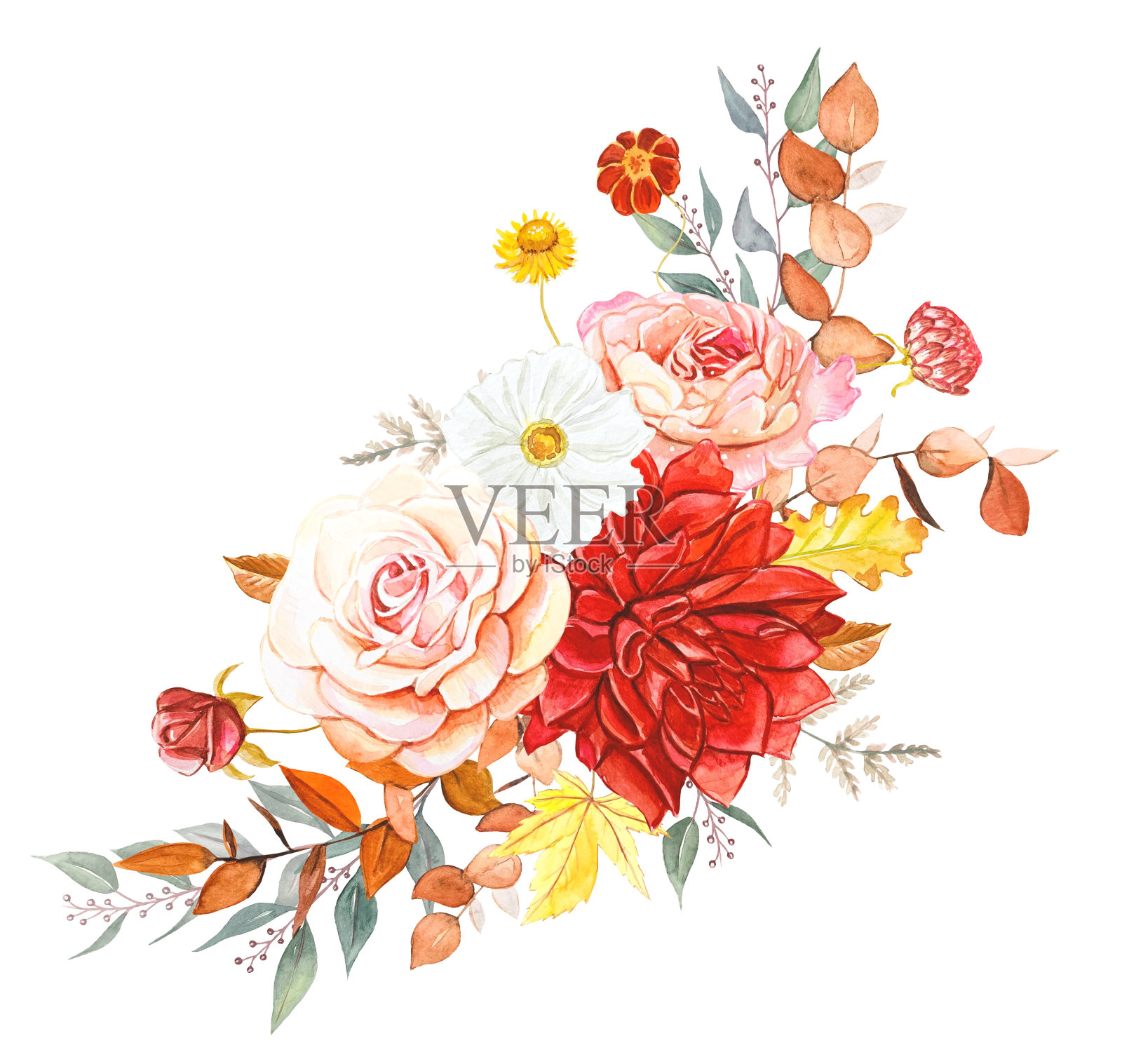 水彩花束，水彩花。花组成。插画图片素材