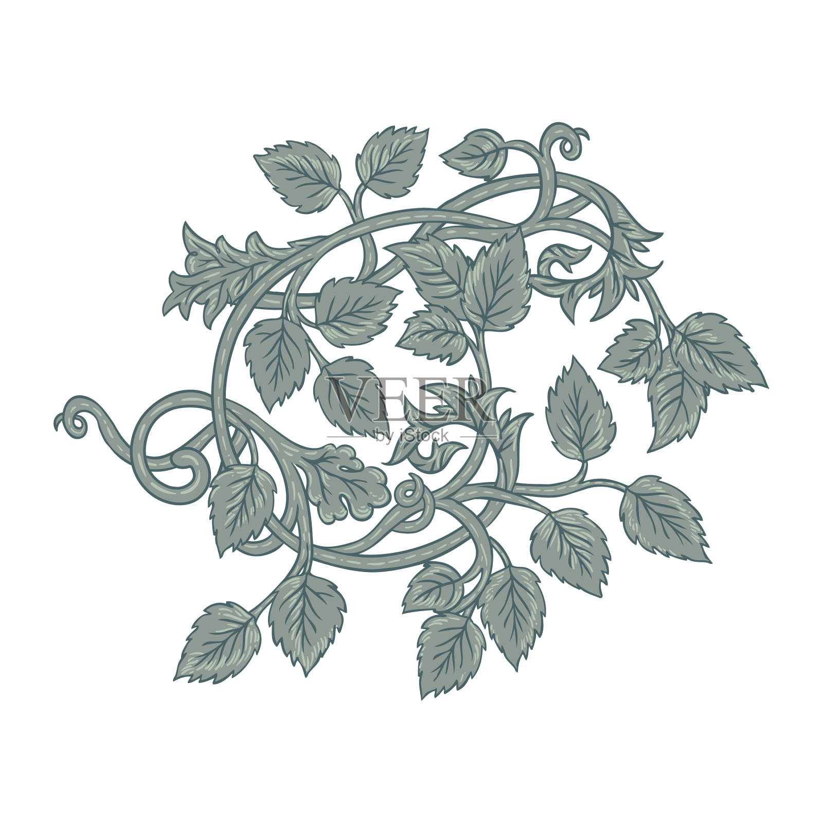 花卉复古元素孤立迷人的复古插画图片素材