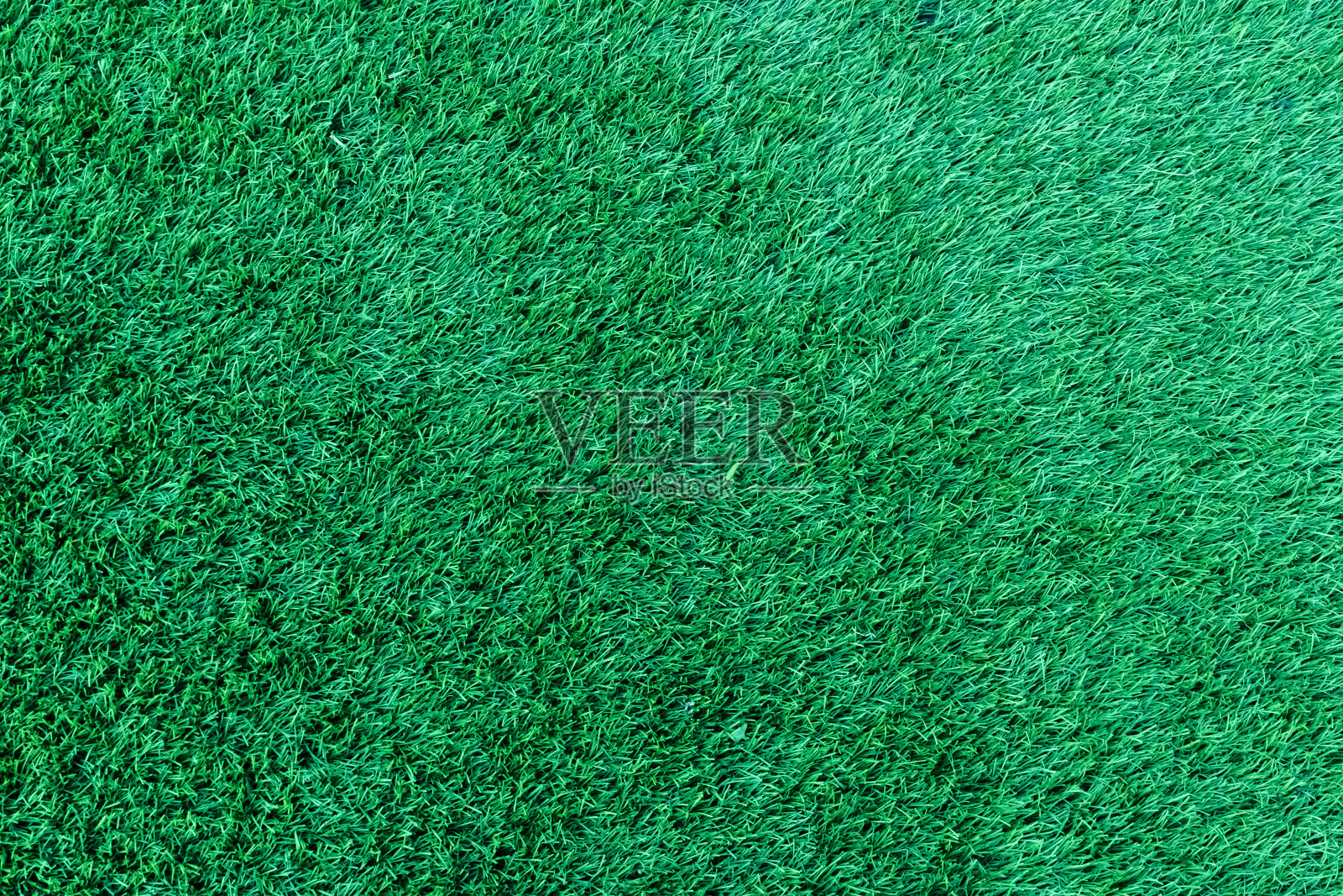 绿色草坪纹理，庭院，户外草坪和草地背景的顶视图照片摄影图片