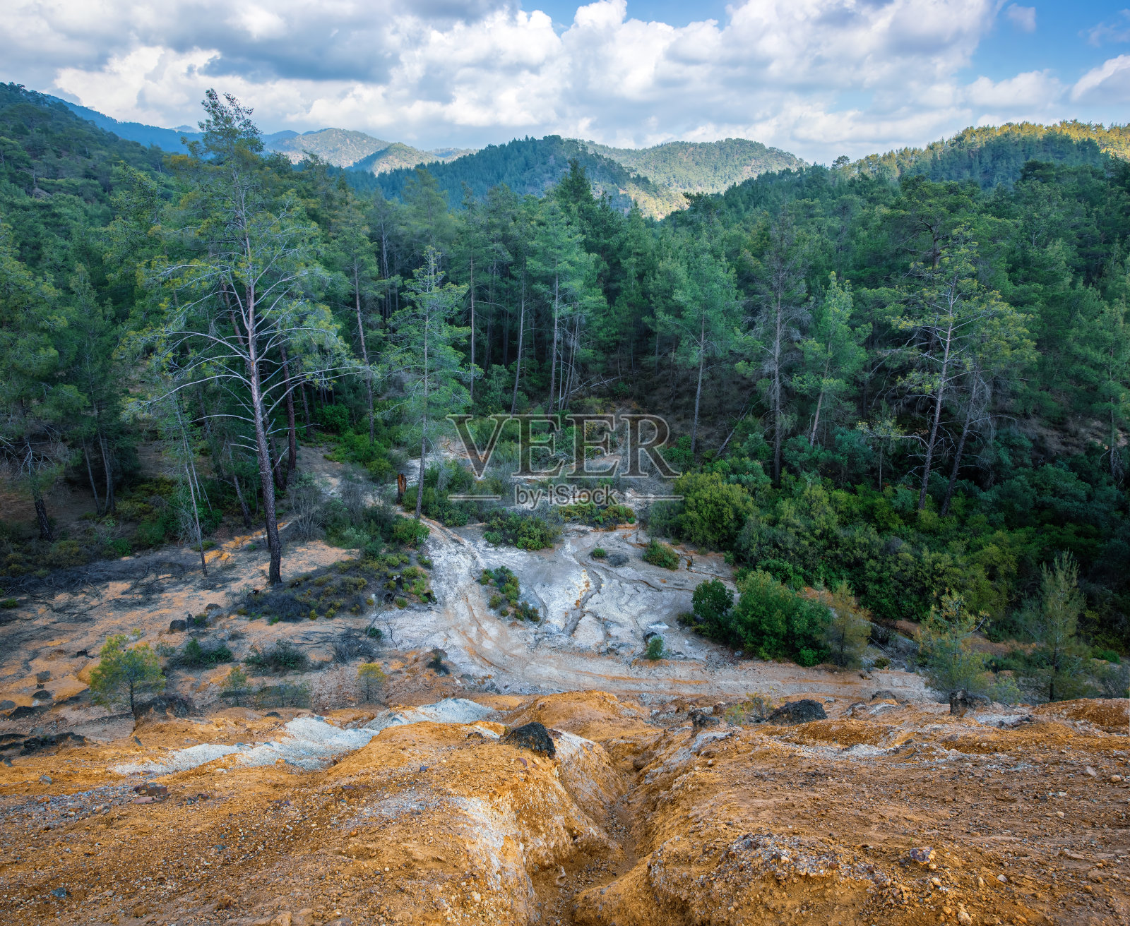 森林被废弃硫铁矿的化学物质污染照片摄影图片