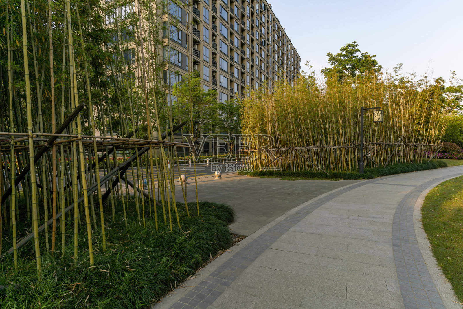 住宅区的花园小径上种植着竹子照片摄影图片