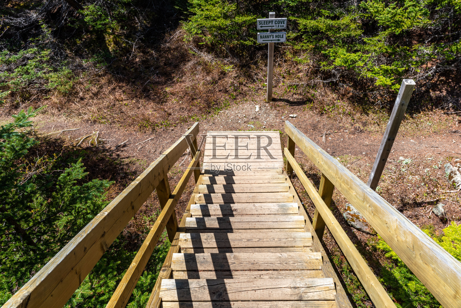 低头，保姆洞和睡眠湾小径，乌鸦头，Twillingate，加拿大照片摄影图片