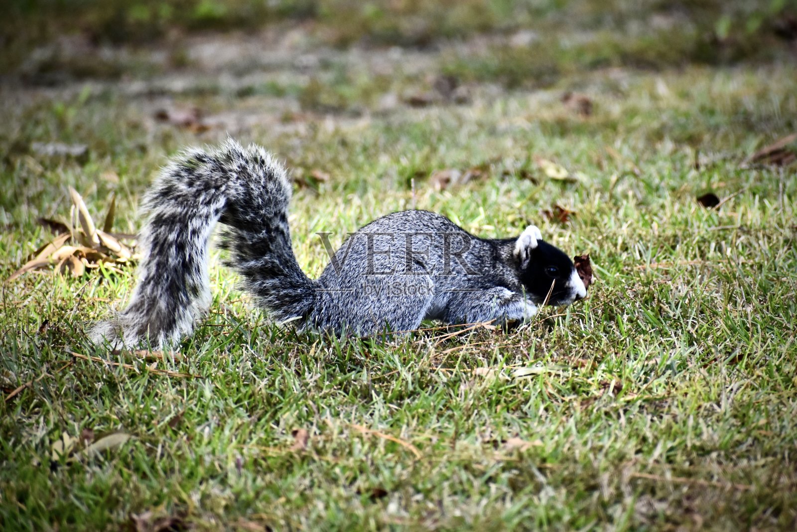 找到一些特别的照片摄影图片
