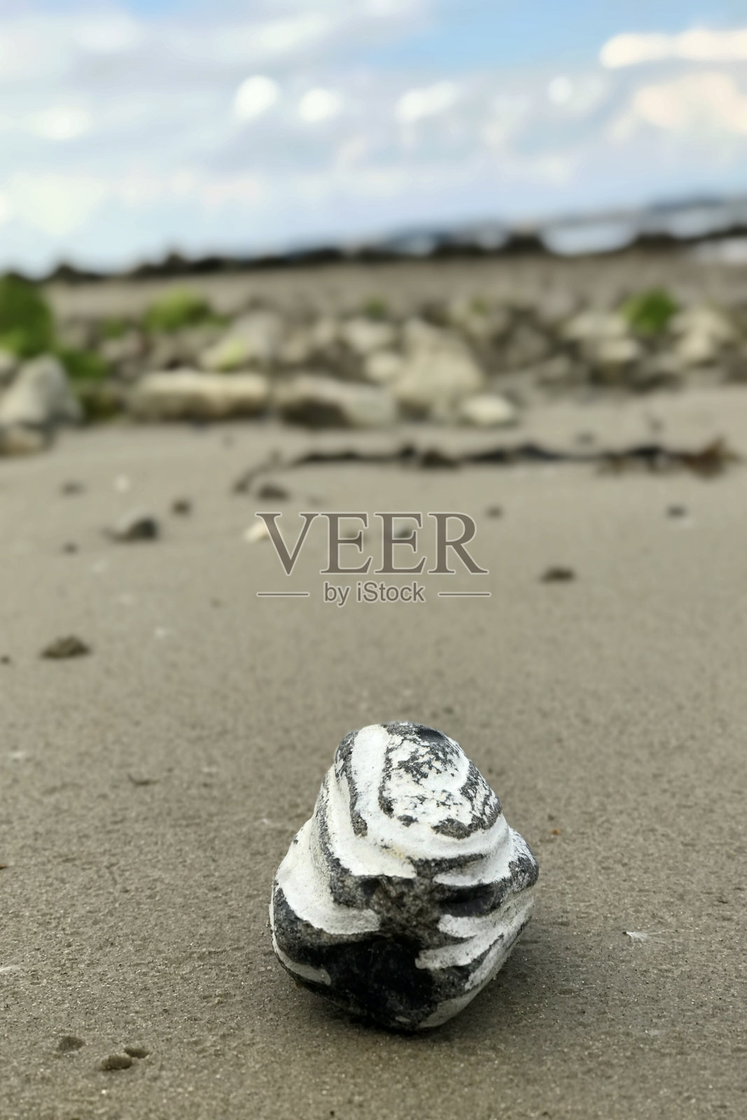 稀有的白灰色条纹海石在潮湿的沙滩上与模糊的海岸线照片摄影图片