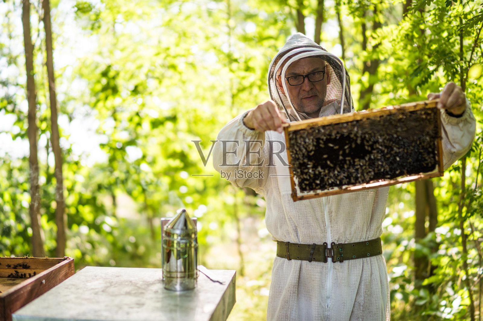 养蜂occuapation照片摄影图片