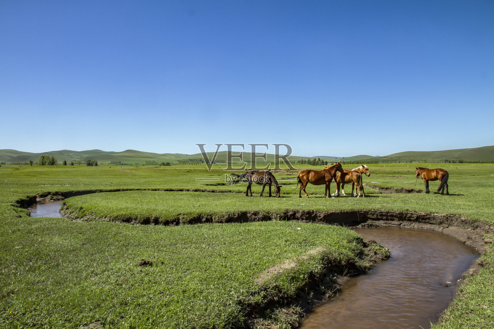 蒙古大草原照片摄影图片