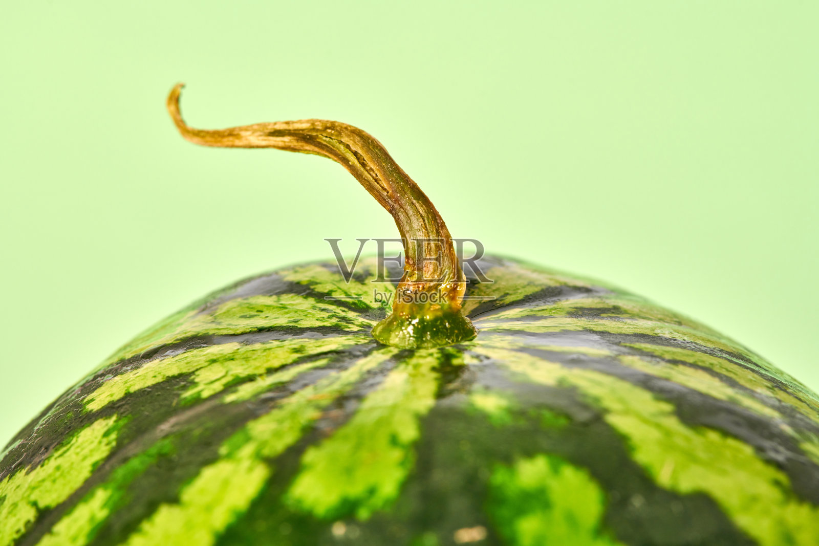口感鲜美多汁的西瓜，干尾，绿色底色，夏天的美味水果，保持水分照片摄影图片