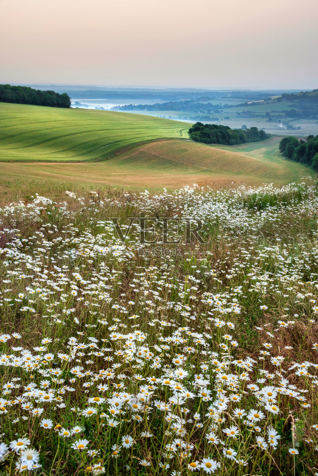 美丽的英国夏天的日出景观图像看起伏的山丘与雾在远处和朦胧的太阳在天空低照片摄影图片